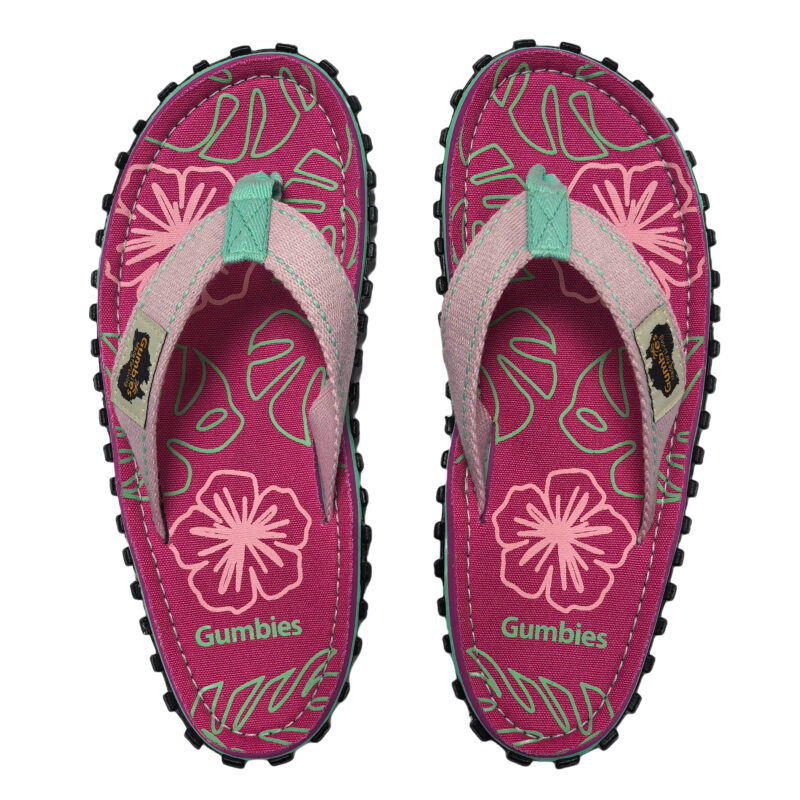 Islanders-Blush Hibiscus